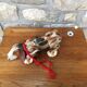 Dog to shoot Fisher Price Toys