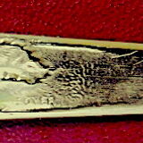 Bronze paper cutter decorated with trendy hazelnuts