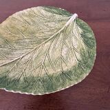 Cabbage leaf dish with slushie