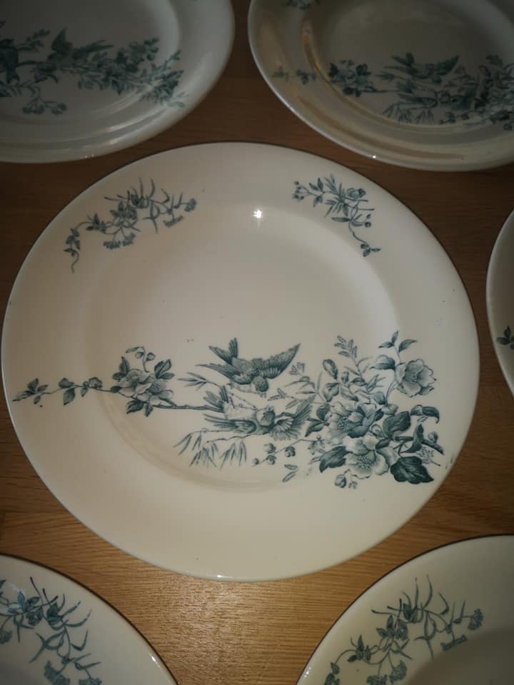 Lot 10 round plates old earthenware longwy Cute birds iron earth ø 23 cm