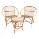 Rattan living room, set of 2 armchairs and a coffee table