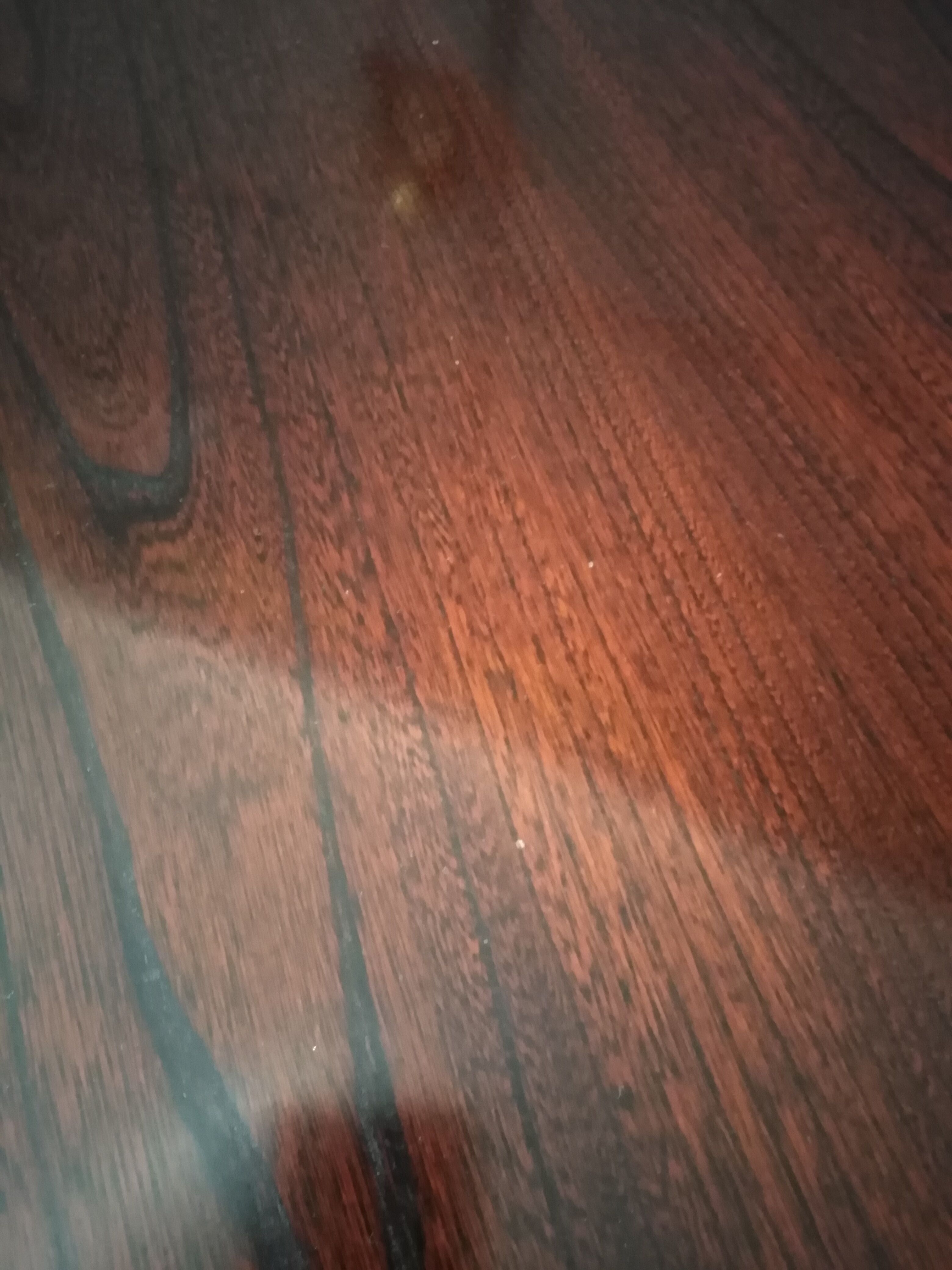 Baumann extended round table