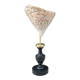 Nacre cone shell Troca on a turned black wooden base, late 19th century.