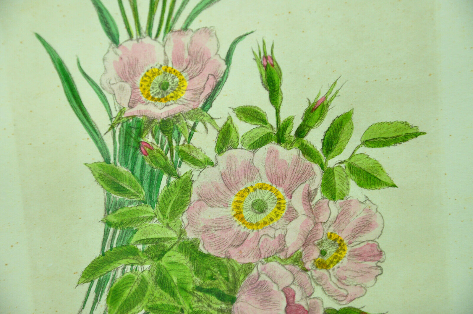 Pair of ancient lithographs of signed floral engravings to be identified