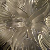 Compotier tulips