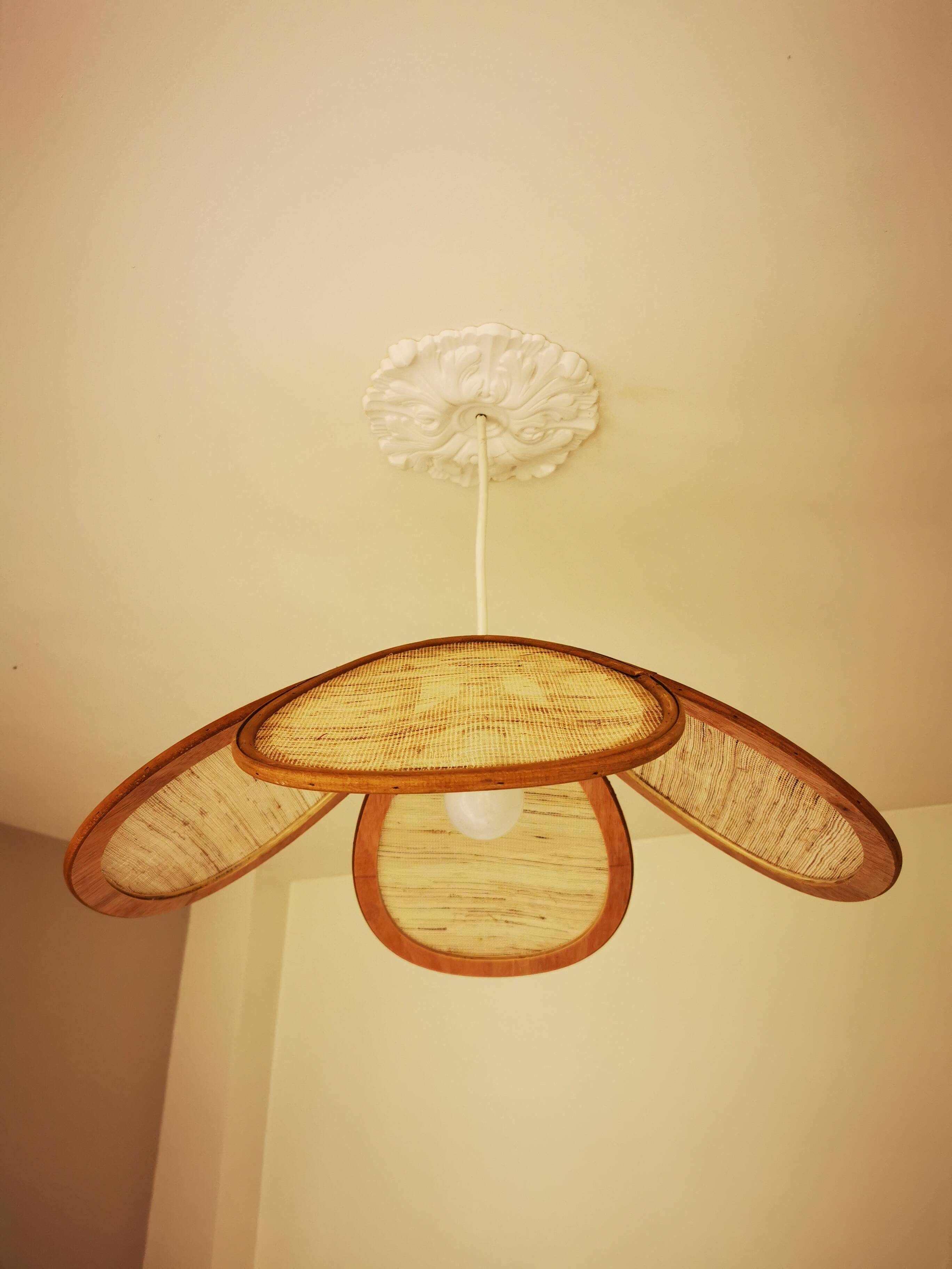 Suspension canvas and bamboo