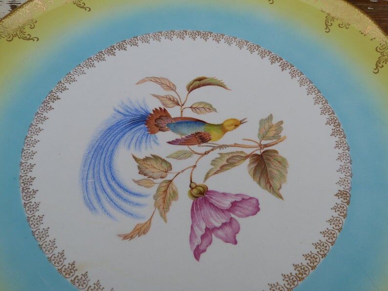 Large round dish 1900 Digoin - Sarreguemine Bird of the Islands