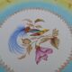 Large round dish 1900 Digoin - Sarreguemine Bird of the Islands