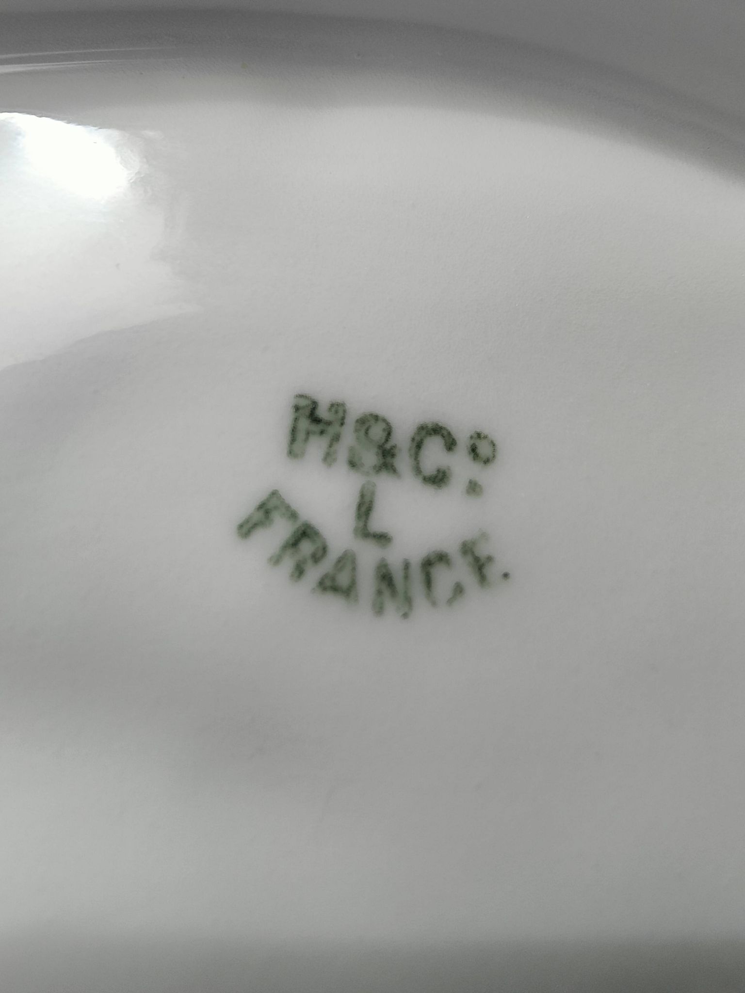 Oyster plate 19th century porcelain Haviland & Co Limoges France