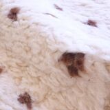 Modern Berber Rug - 282 x 208 cm