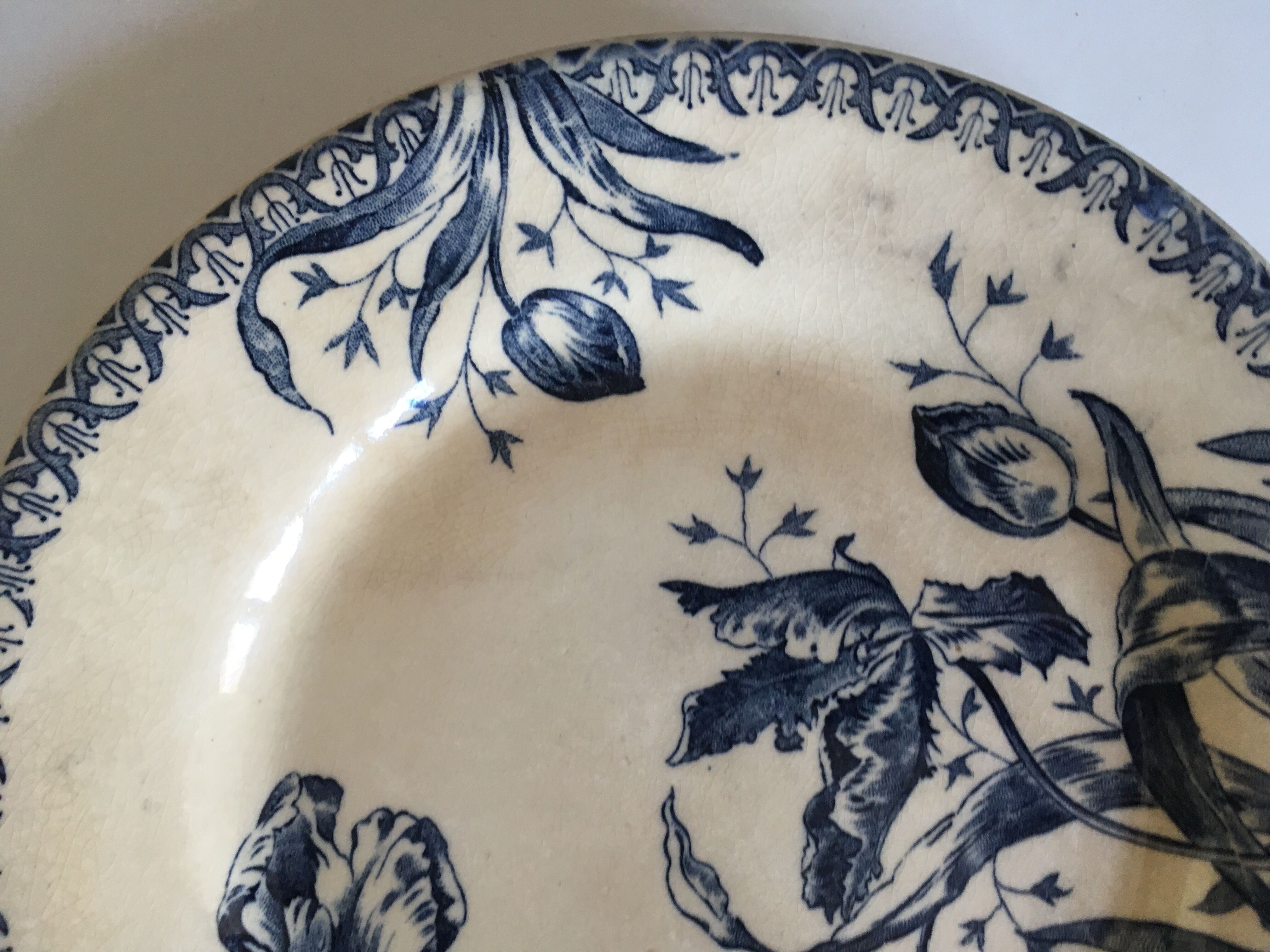 Set of 6 flat Tulips earthenware plates of Gien of the nineteenth century