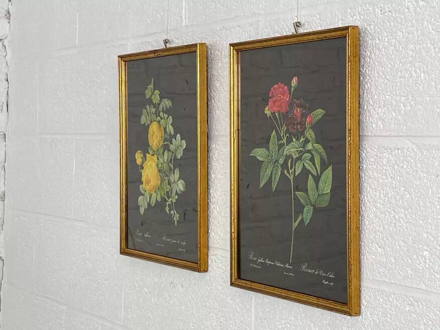 Pair of flower engravings