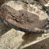 Cement planter