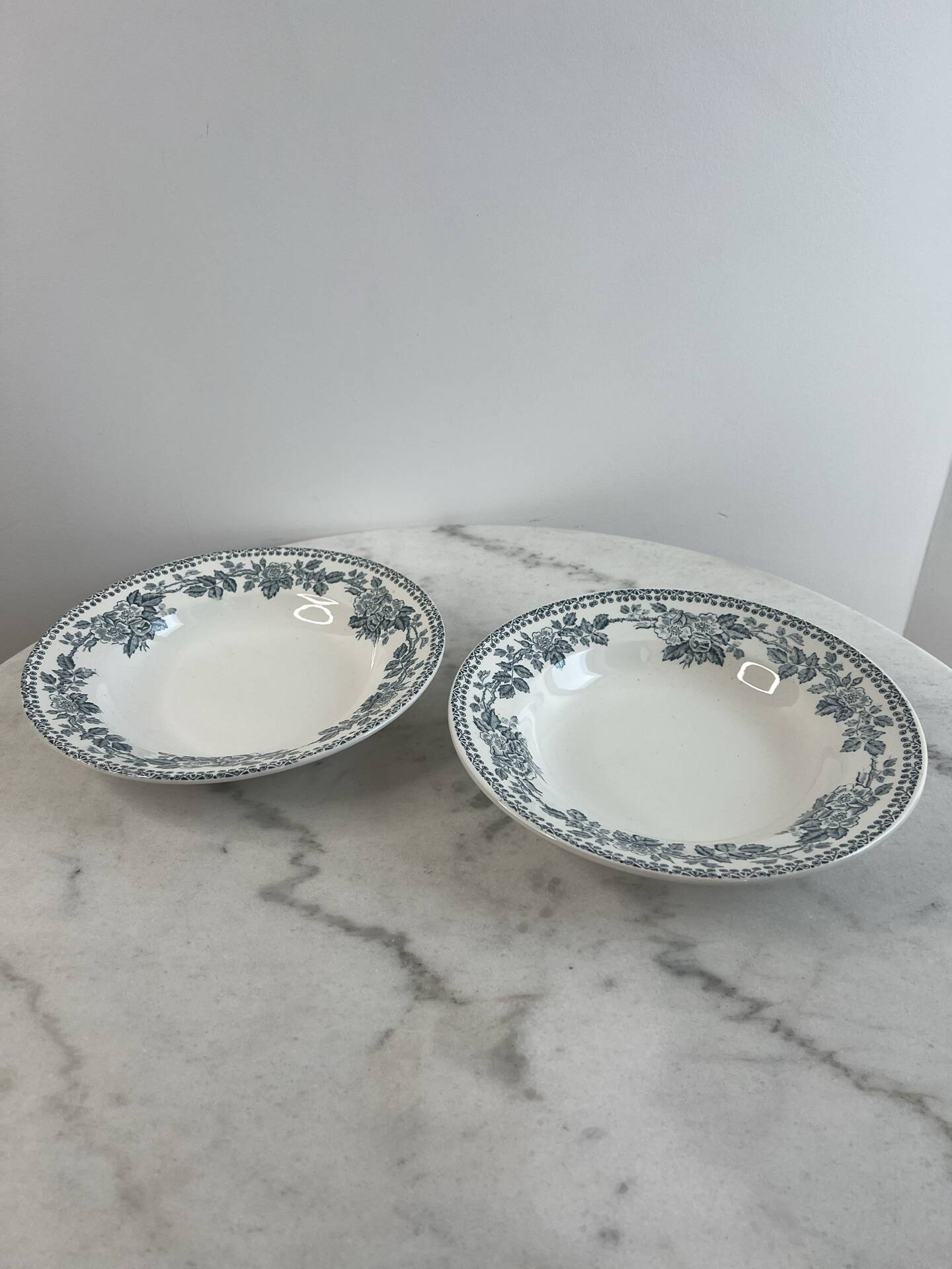 Set of 2 deep plates in ironstone Sarreguemines Digoin Guadel