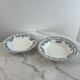 Set of 2 deep plates in ironstone Sarreguemines Digoin Guadel