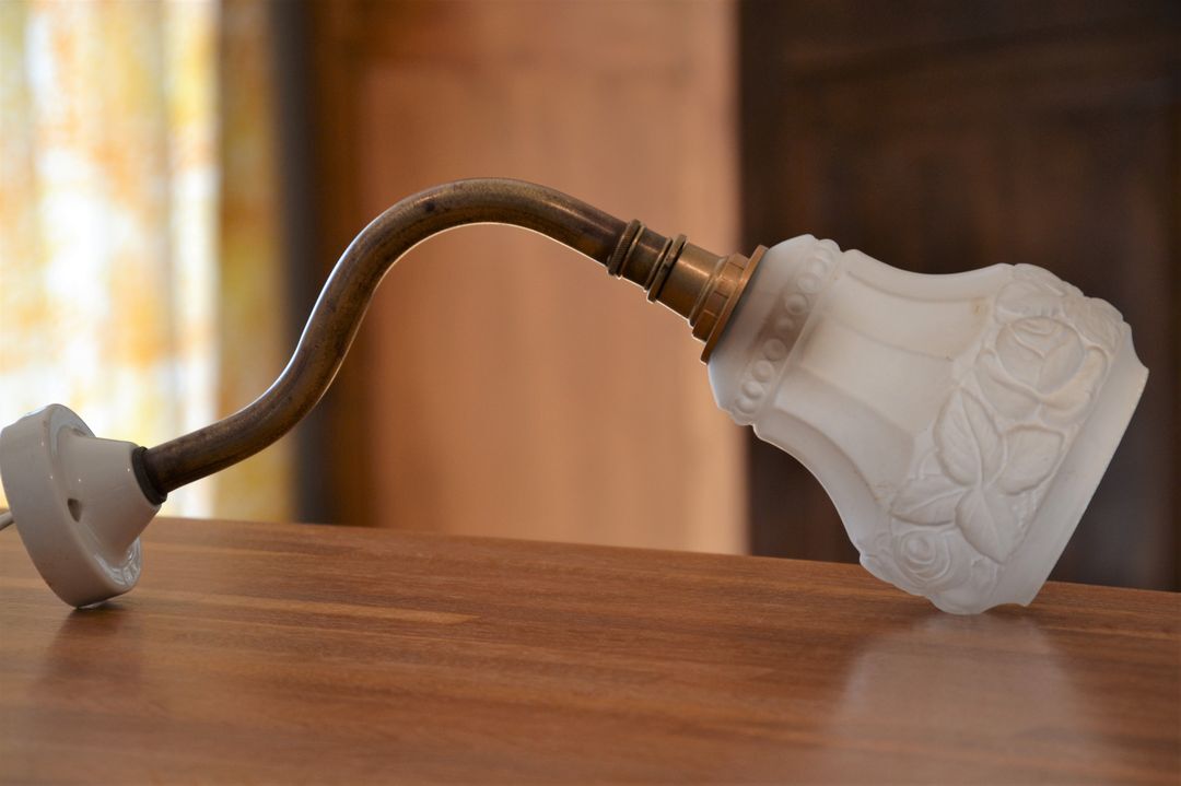 Art nouveau gooseneck wall lamp