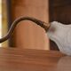 Art nouveau gooseneck wall lamp