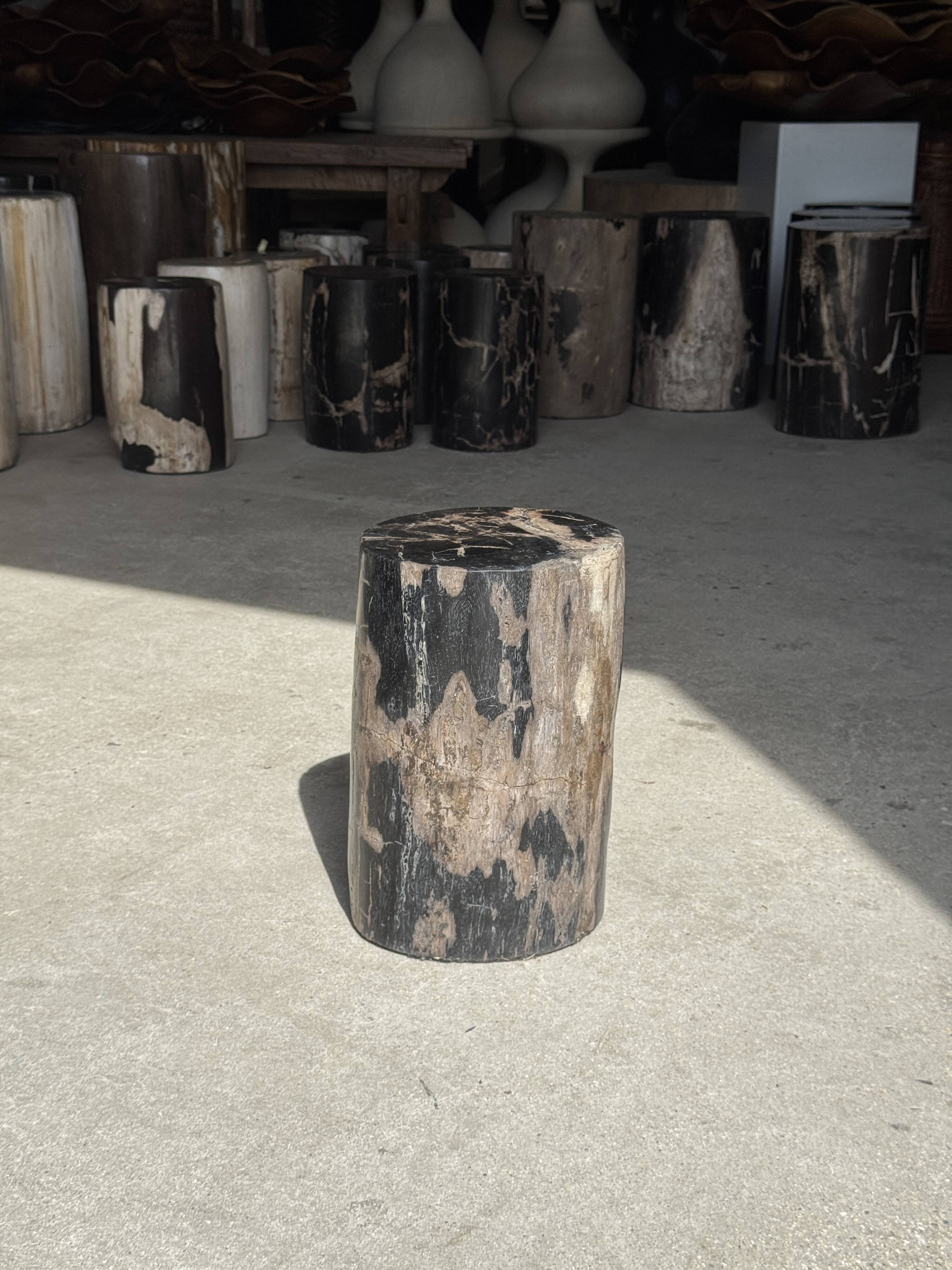 Table d'appoint en bois pétrifié noir