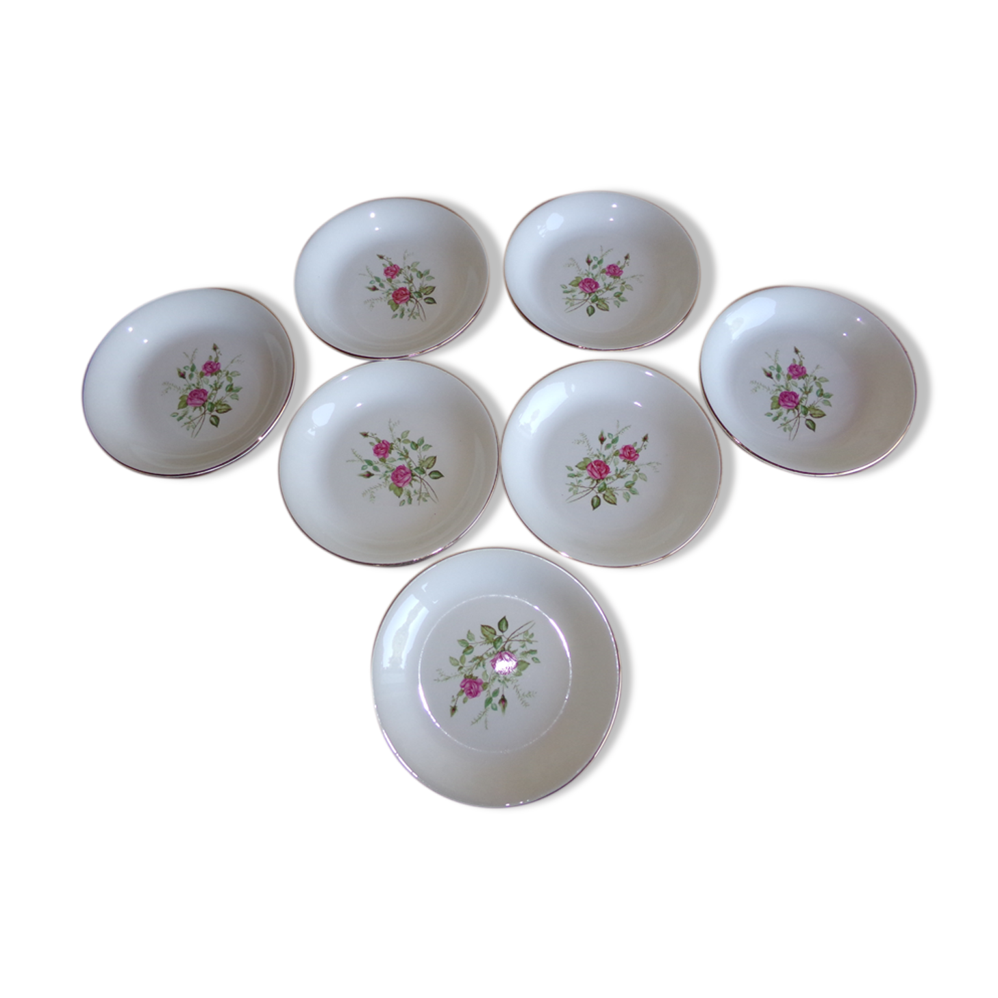 7 hollow plates Faïencerie de Gien model "Pompadour"