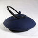 Japanese teapot in blue cast iron