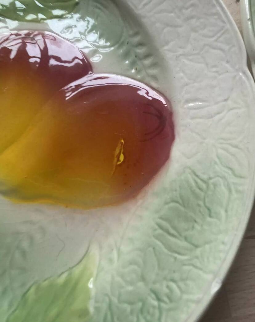 Set of 5 flat plates in Saint-Clément Barbotine earthenware with seasonal fruit motifs