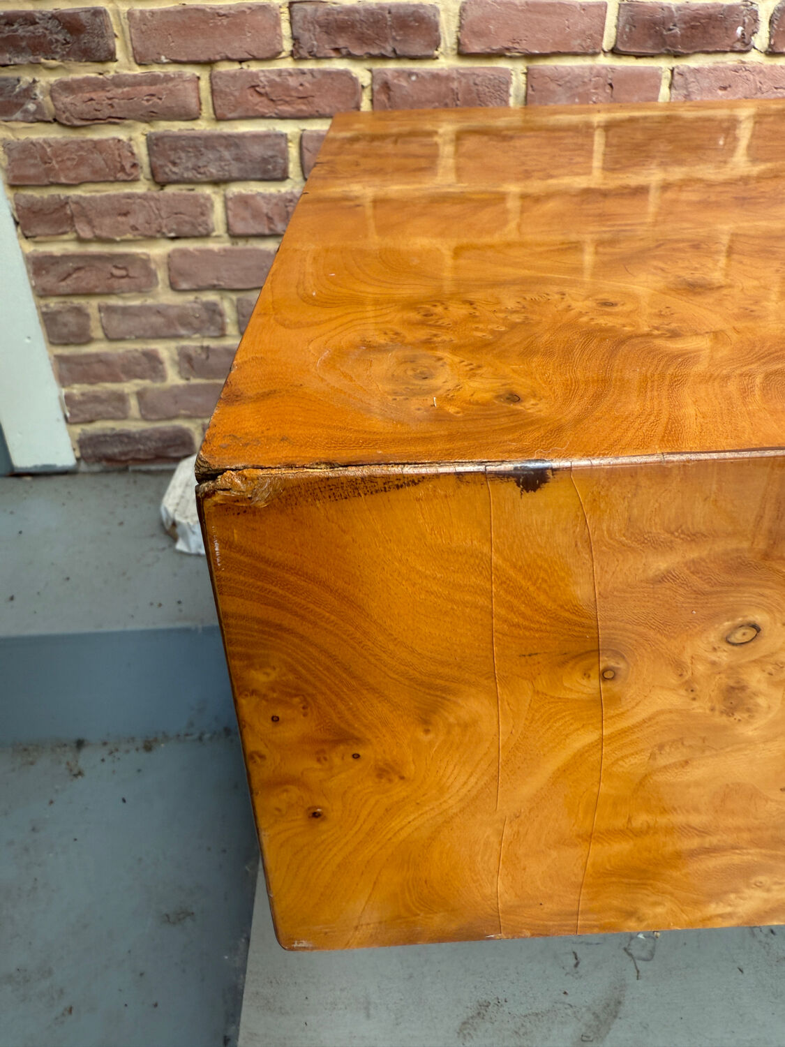 Elm burl coffee table