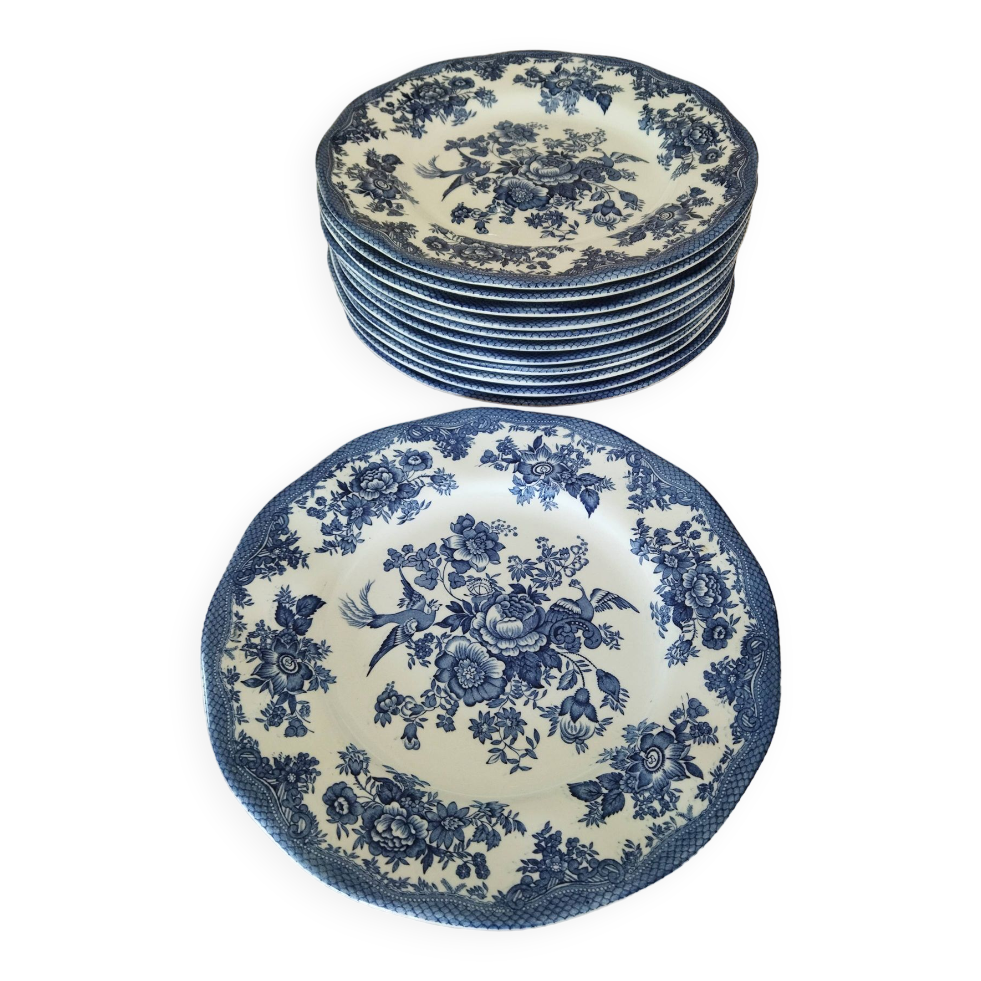 12 English dinner plates Enoch Wedgwood "Asiatic Pheasants"
