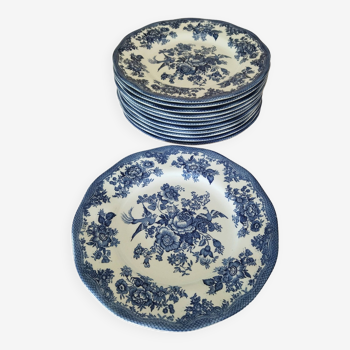 12 English dinner plates Enoch Wedgwood "Asiatic Pheasants"