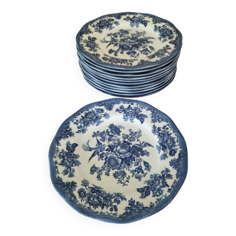 12 English dinner plates Enoch Wedgwood "Asiatic Pheasants"