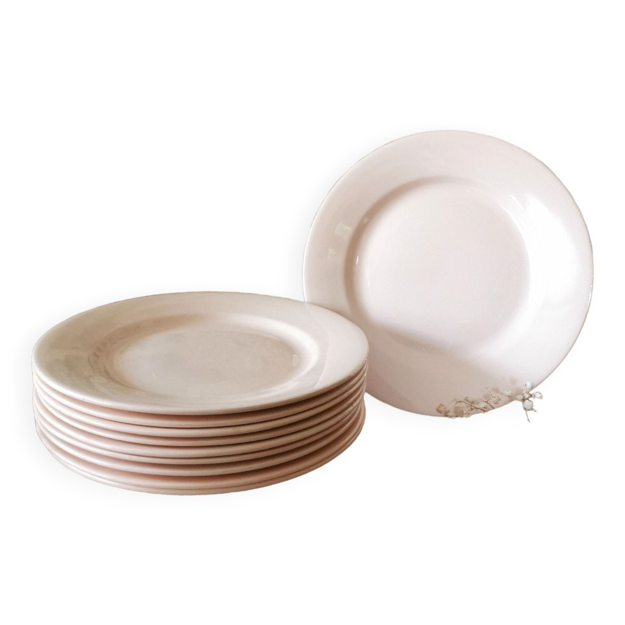 Digoin Sarreguemines Pink plate
