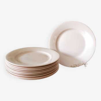 Digoin Sarreguemines Pink plate