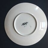 Plate of Sarreguemines XIXth