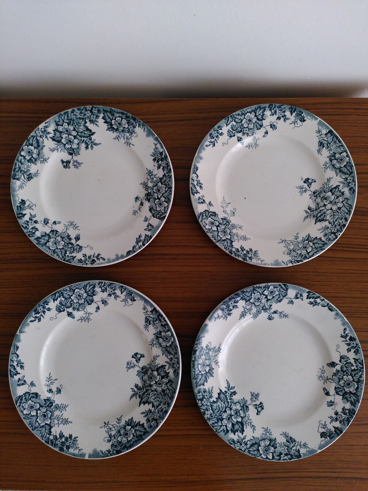 Set of flat and hollow plates in Terre de Fer Saint Amand & Hamage