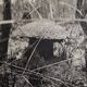 Silver photography, mushroom termite mound, nature, framed 52x42 cm