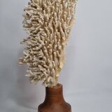Antique natural coral on turned wooden base, 38 cm