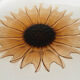 Plat tournesol en verre moulé pressé circa 1960