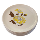 Savirel plates