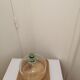 Plateau a fromage carre avec cloche bombee