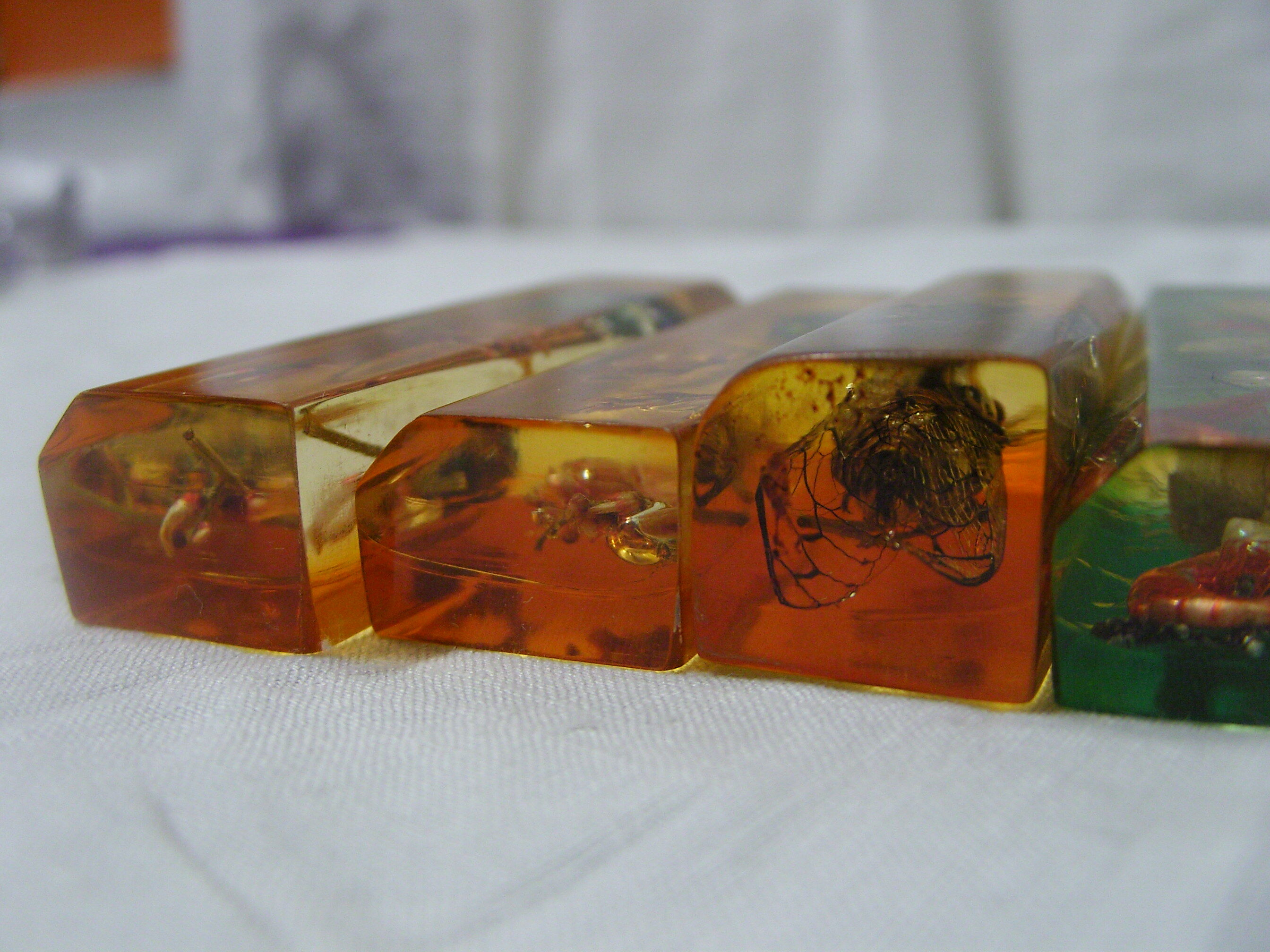 6 knife-wielding vintage insect inclusion