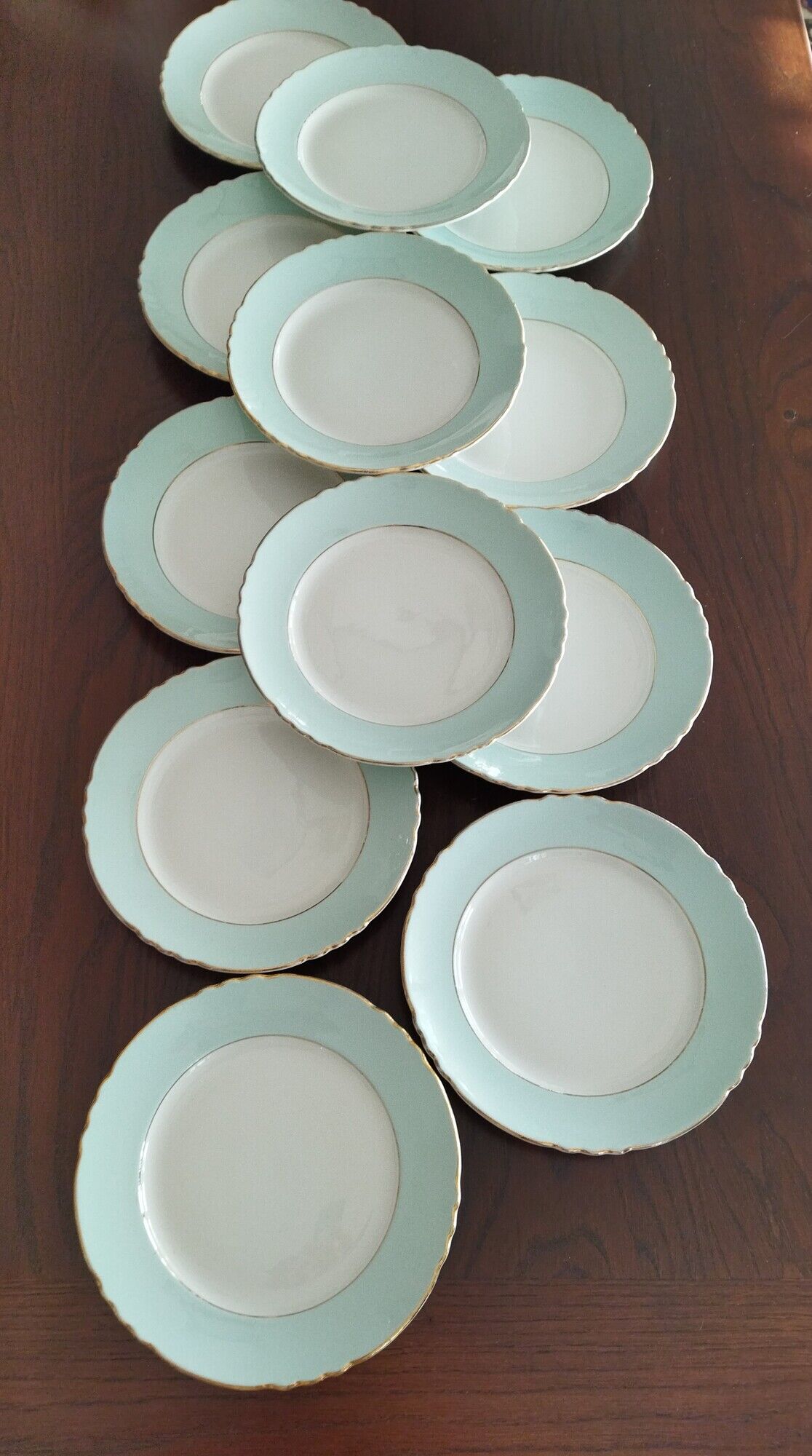 Set of 12 flat plates Orchies Nord "Callisto"