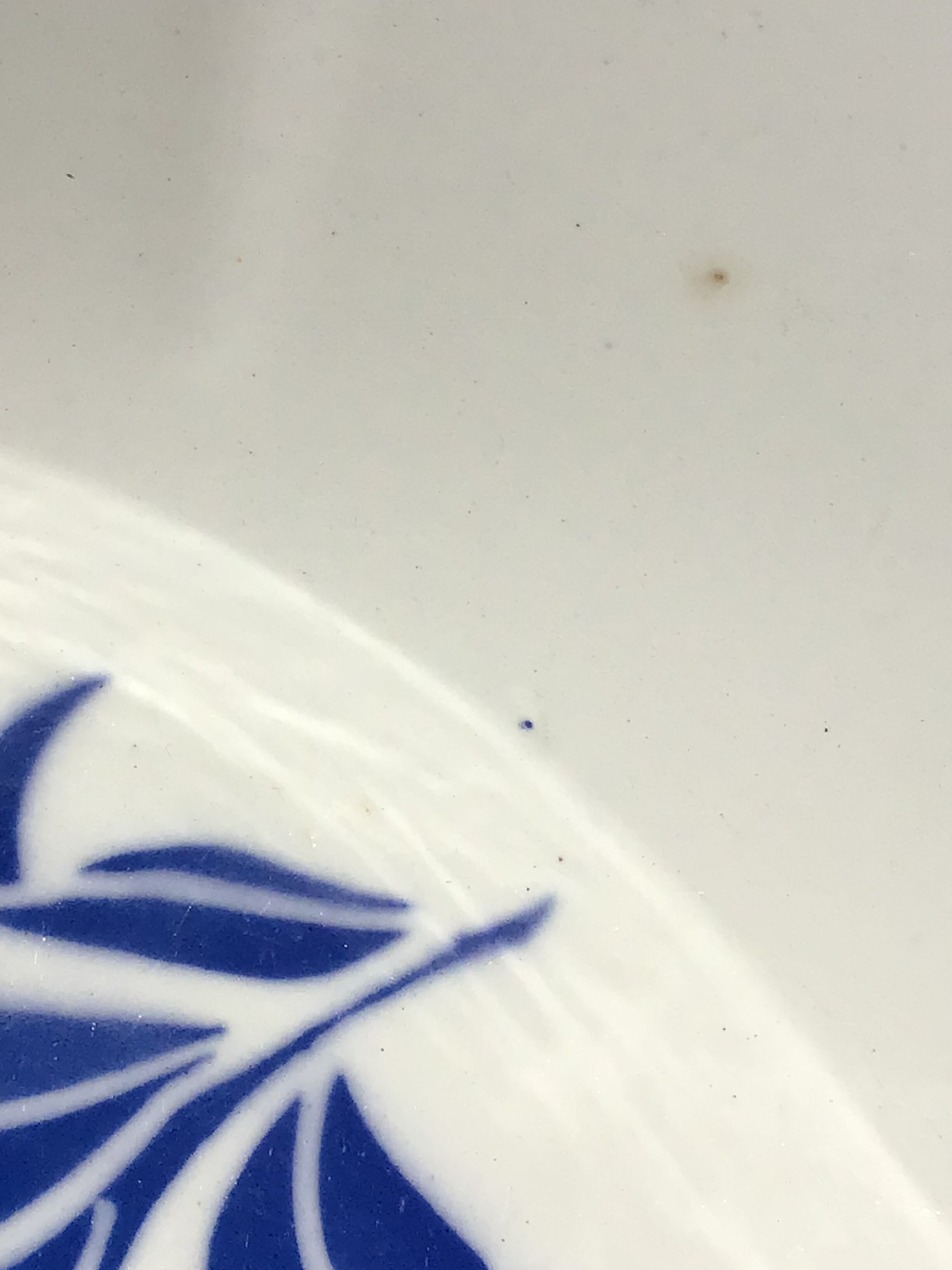 Digoin Odette salad bowl large capacity blue