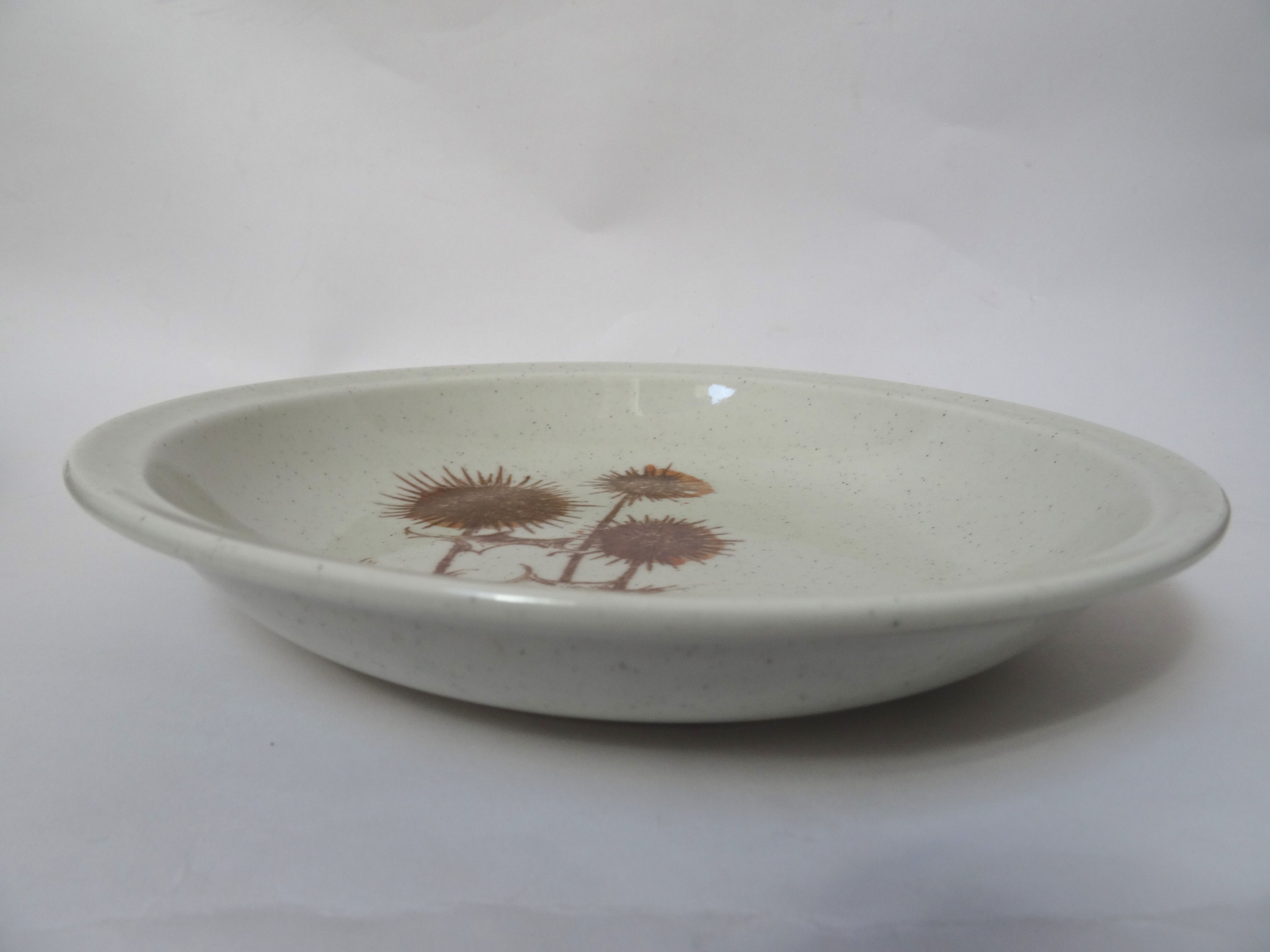 Hollow plates Sarreguemines