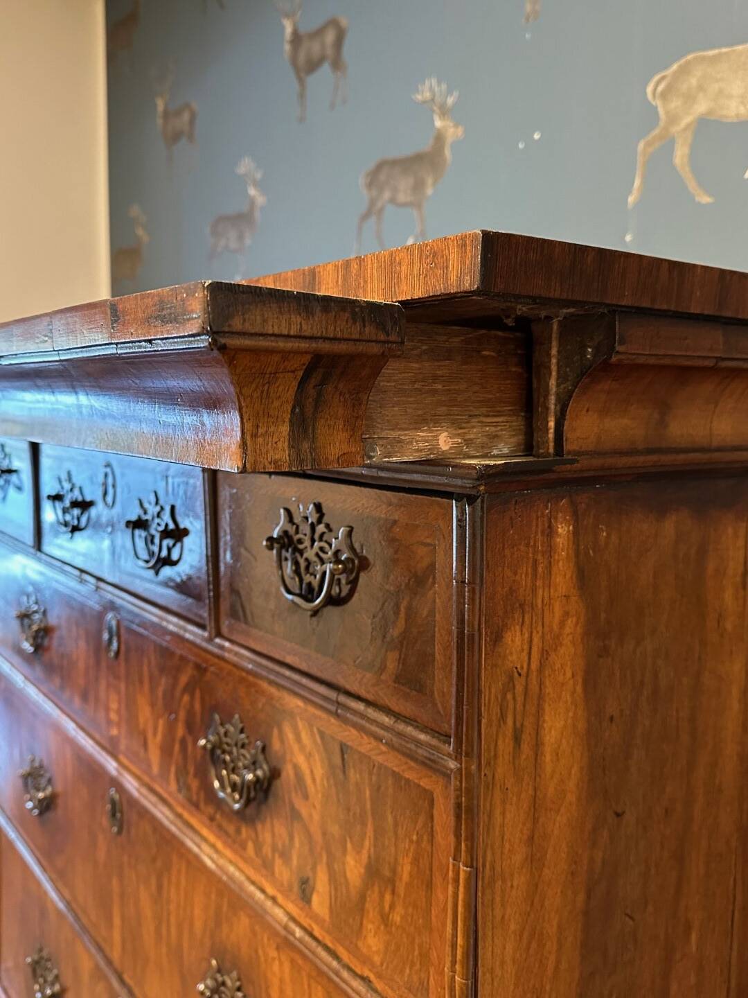Antique 18th century burl walnut chest of drawers