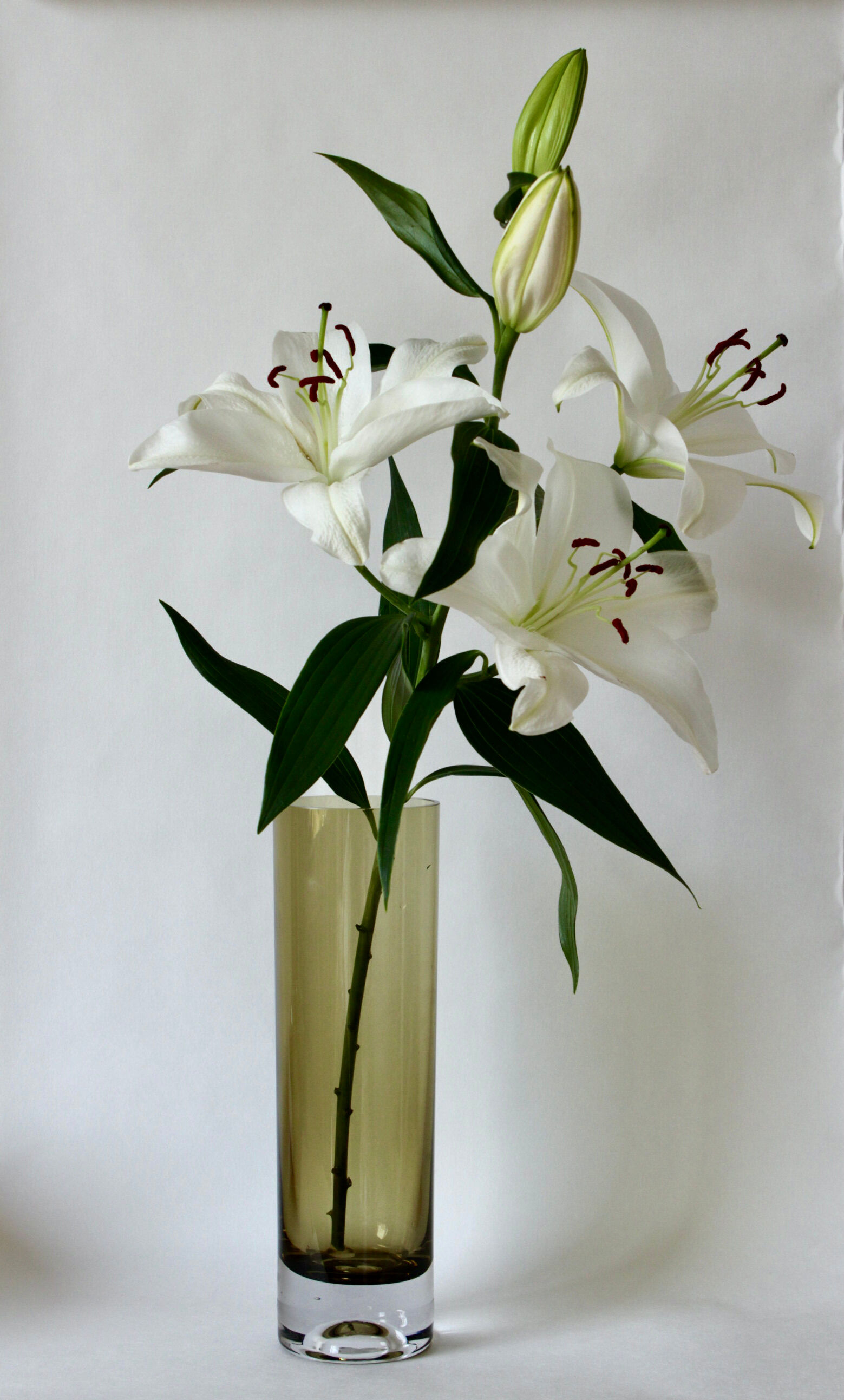 Smoked roll vase Roland Posch for Gral Glas