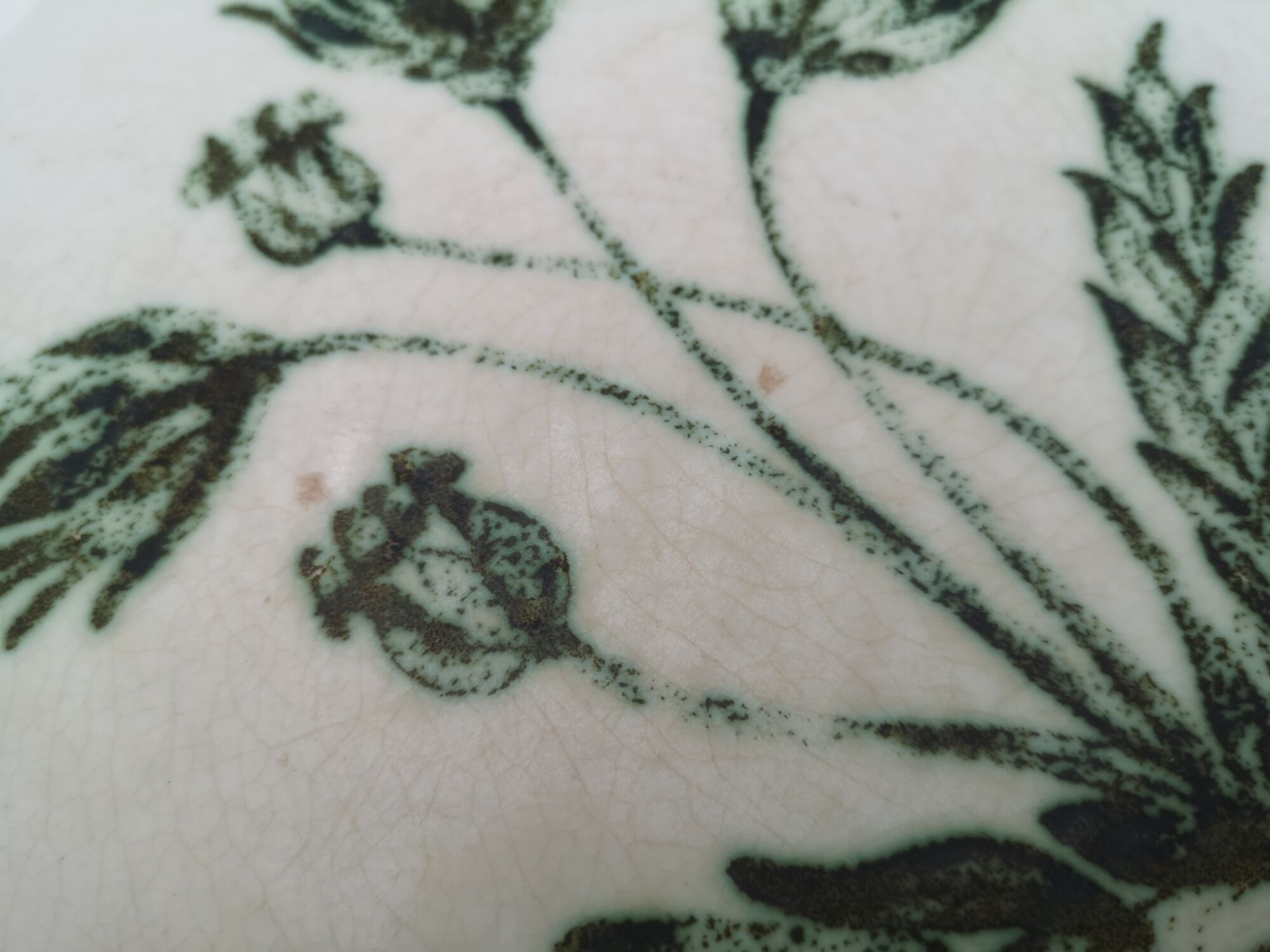 Lot of 4 mismatched plates herbarium vegetable decoration