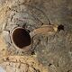 Old wooden pulley wheel on foot