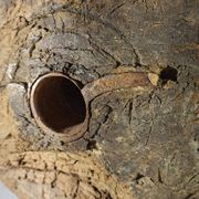 Old wooden pulley wheel on foot