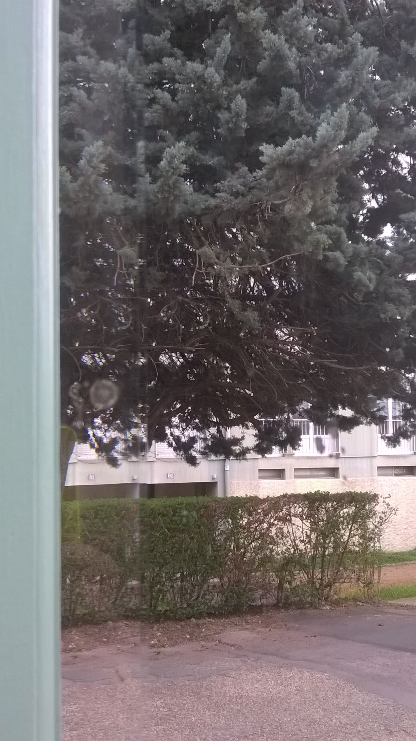 Parisian wardrobe 1930