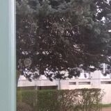 Parisian wardrobe 1930