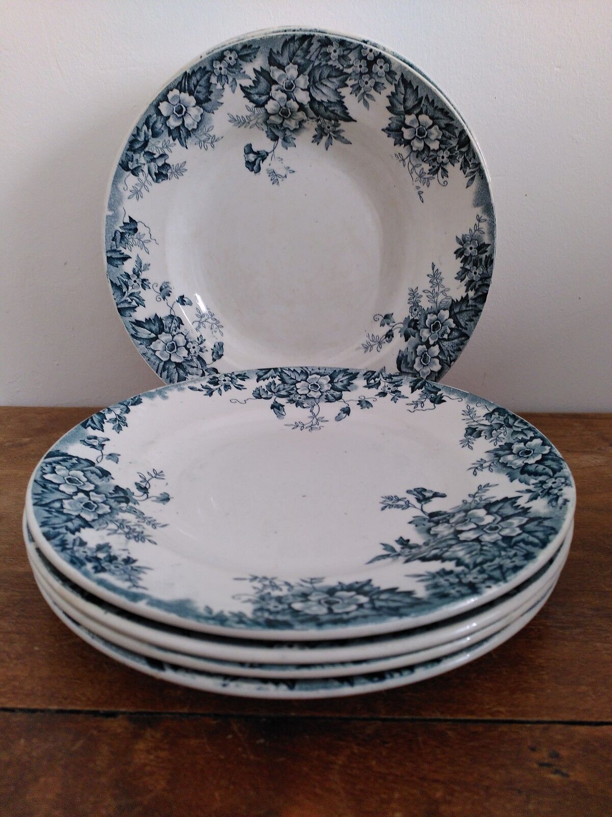 Set of flat and hollow plates in Terre de Fer Saint Amand & Hamage